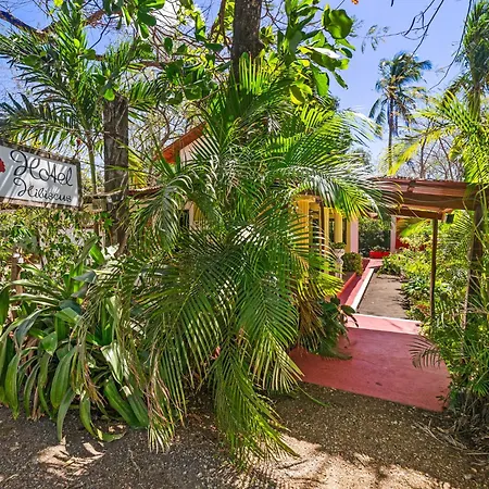Hotel Hibiscus Cabina 4