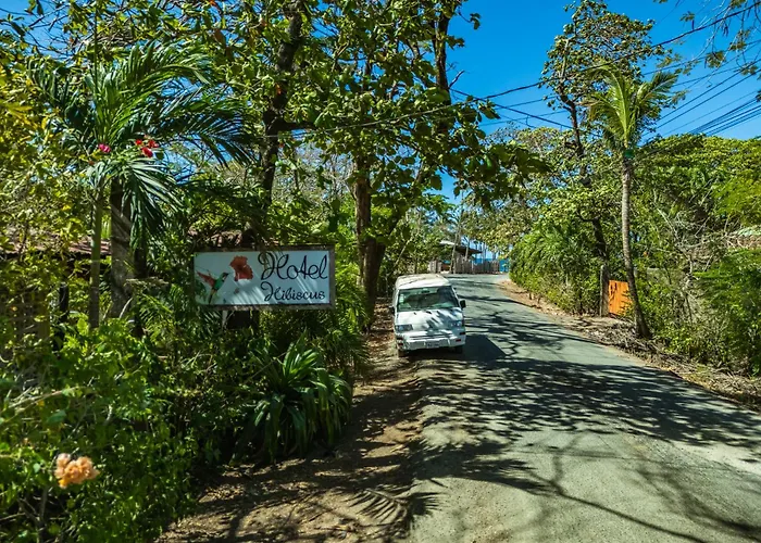 Bed and breakfast Hibiscus 4 4*